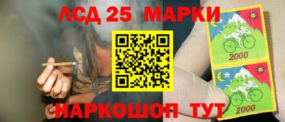 твердый Заводоуковск
