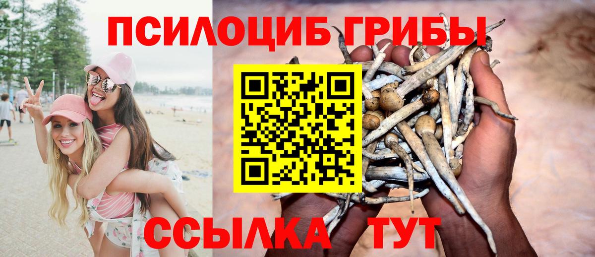 Кулебаки  Псилоцибиновые грибы MAGIC MUSHROOMS  Вход с VPN 