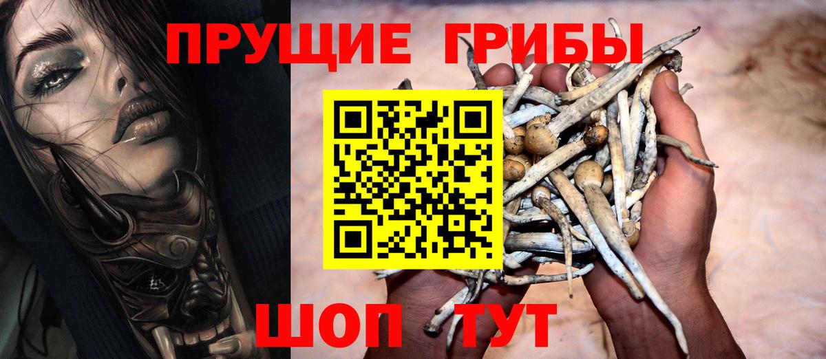 Галлюциногенные грибы Psilocybe Кулебаки